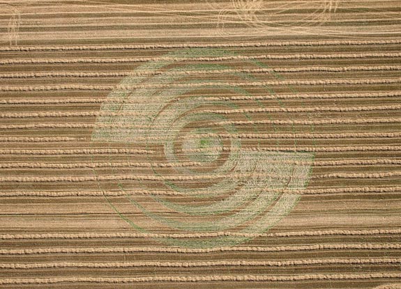 crop circle at Hadorf |  August 01 2006