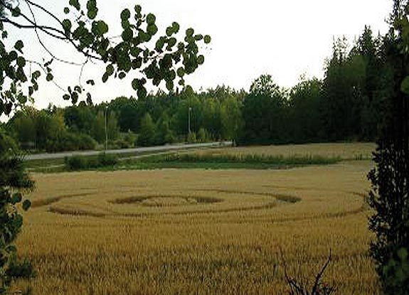 crop circle at Järfälla |  August 07 2006