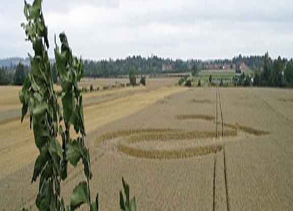 crop circle at Waltham |  August 08 2006