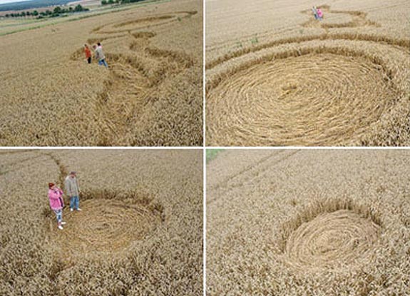 crop circle at Meensen |  August 11 2006