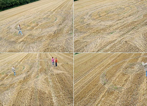 crop circle at Meensen |  August 11 2006