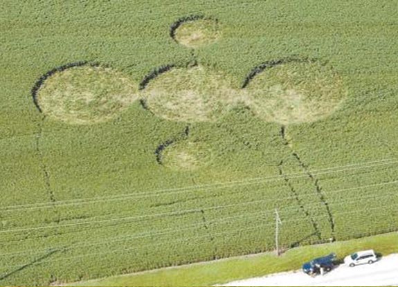 crop circle at Geneseo |  August 16 2006