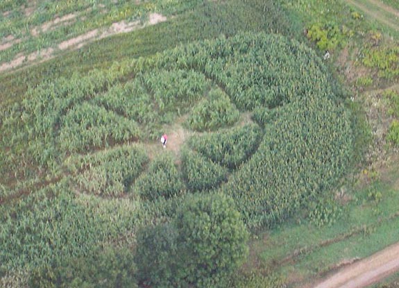 crop circle at Schomberg |  August 17 2006