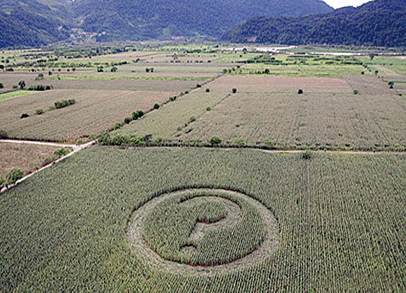 crop circle at Ayotzintepec |  August 2006