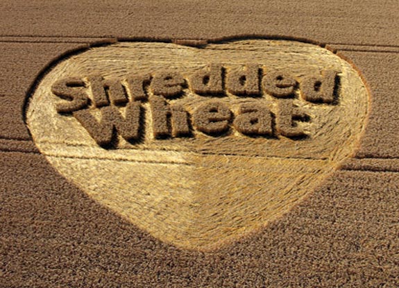 crop circle at Puckeridge |  August 2006