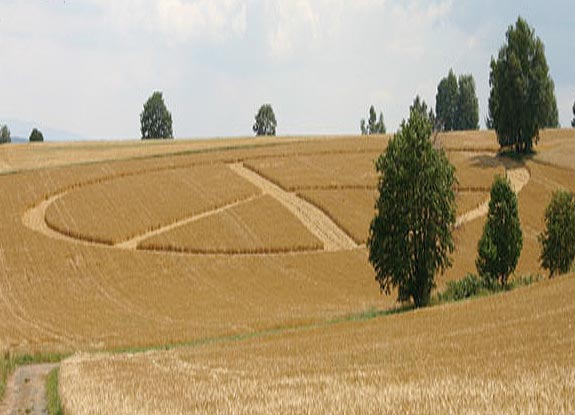 crop circle at Selb | September 09 2006