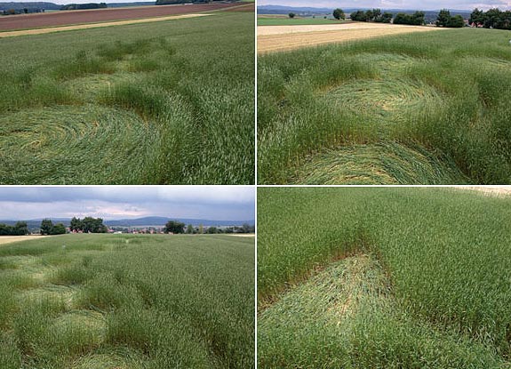 crop circle at Jühnde | October 01 2006