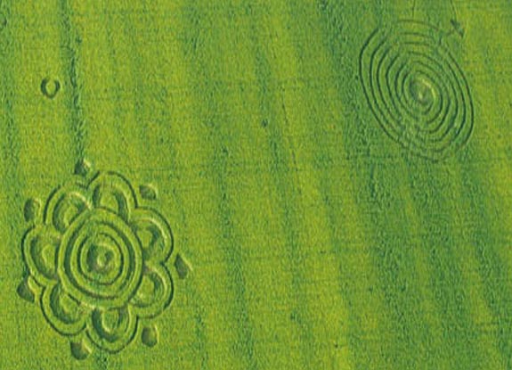 crop circle at Göttingen | October 18 2006