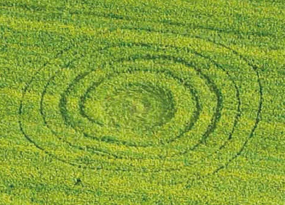 crop circle at Göttingen | October 25 2006