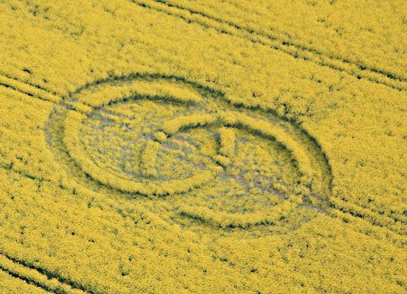 crop circle at Chilcomb Down | April 22 2007