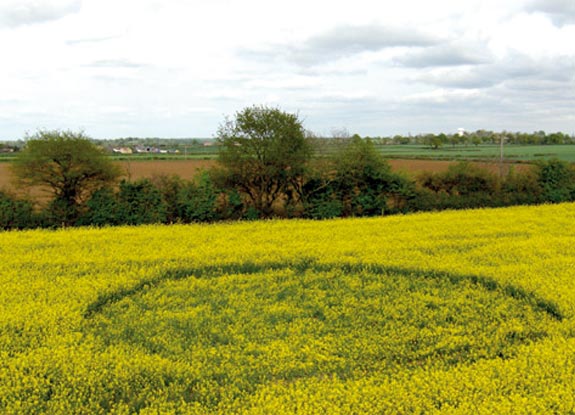 crop circle at Hullington Airfield | April 22 2007