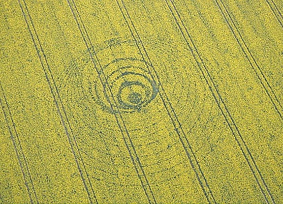 crop circle at Meensen | April 23 2007
