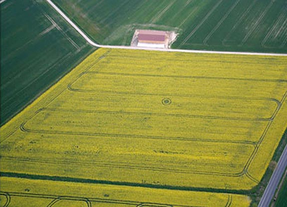 crop circle at Meensen | April 23 2007