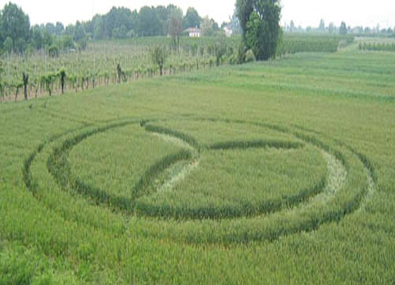 crop circle at Forli | May 03 2007