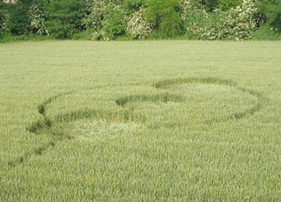 crop circle at Farogliano | May 17 2007