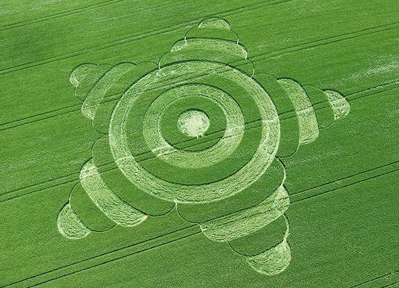 crop circle at Morgans Hill | May 18 2007