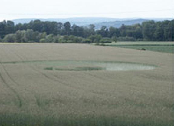 crop circle at Rheinau | May 20 2007