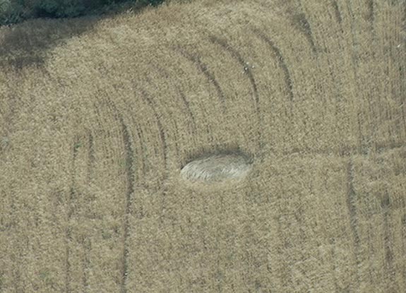 crop circle at Mara | May 20 2007