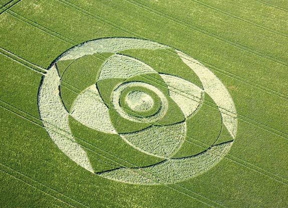 crop circle at Wexcombe | May 22 2007