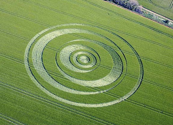 crop circle at Winterbourne Monkton | May 23 2007