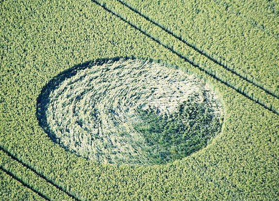 crop circle at Yatesbury | May 30 2007