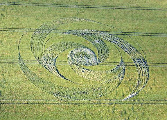 crop circle at Up Sombourne | June 10 2007