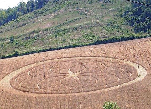 crop circle at Casine die Paterno | June 11 2007