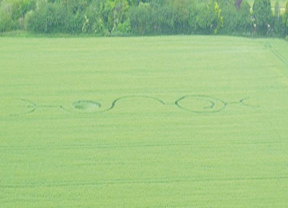 crop circle at Barton-Le-Cley | June 11 2007