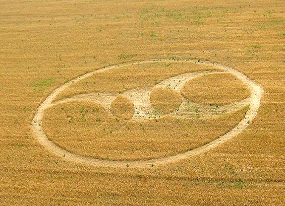 crop circle at Krapje | June 13 2007