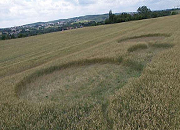 crop circle at Schiffsweiler | June 14 2007