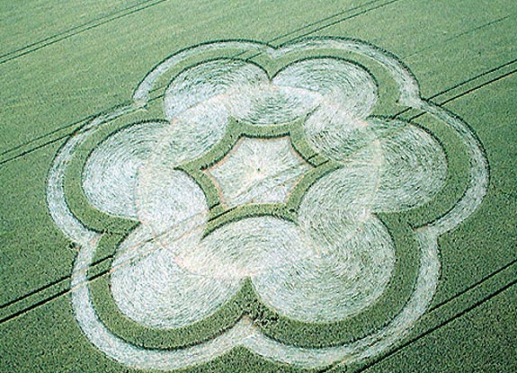 crop circle at Waterloo | June 16 2007