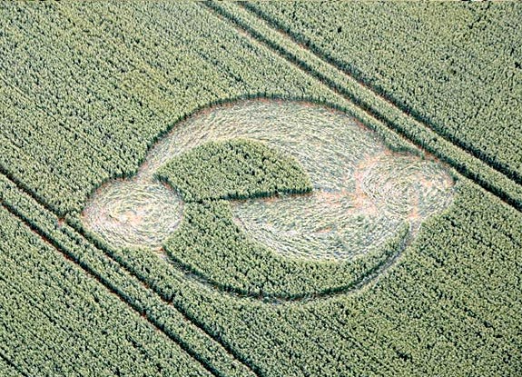 crop circle at Lockeridge | June 16 2007