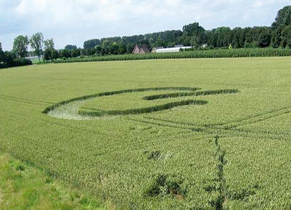 crop circle at Andel | June 21 2007