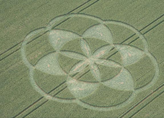 crop circle at Klein Wiershausen | June 24 2007