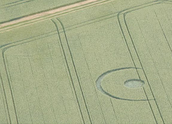 crop circle at Klein Wiershausen | June 24 2007