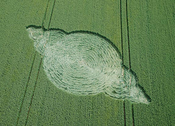 crop circle at Lockeridge | June 24 2007