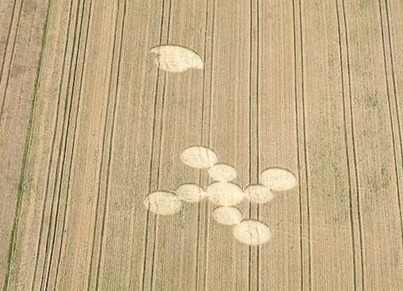 crop circle at Vrhovljan | June 25 2007