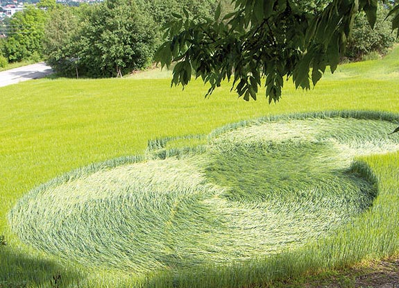 crop circle at Skien | June 27 2007