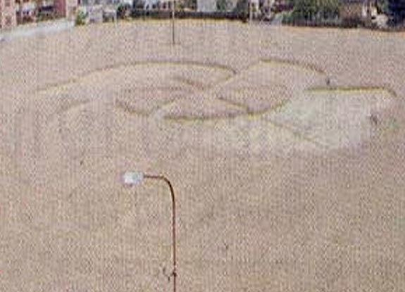 crop circle at Desio | June 29 2007