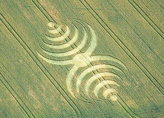 crop circle at Garsington | June 29 2007