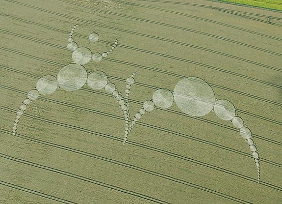 crop circle at Alton Barnes | July 07 2007
