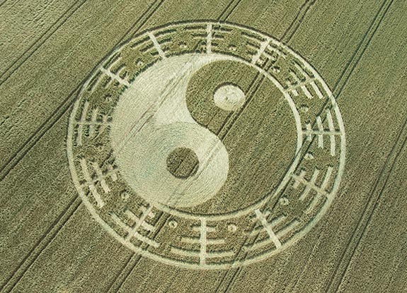 crop circle at Stantonbury Hill | July 07 2007