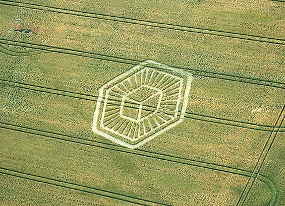 crop circle at Toot Baldon | July 07 2007