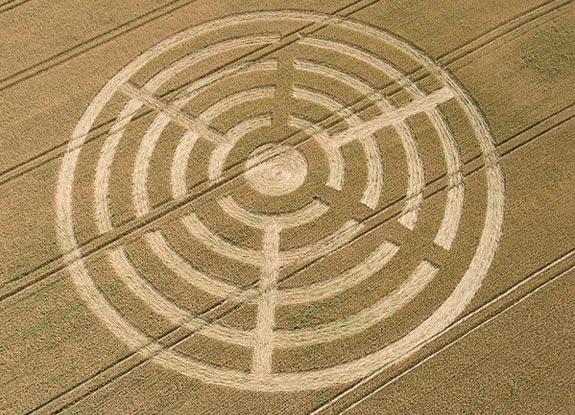 crop circle at Savernake Forest | July 07 2007