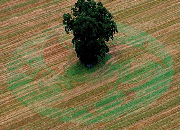 crop circle at Bournemouth | July 15 2007