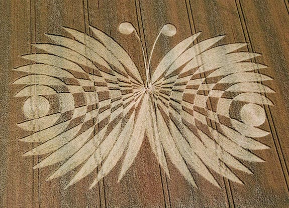 crop circle at Ashbury | July 16 2007