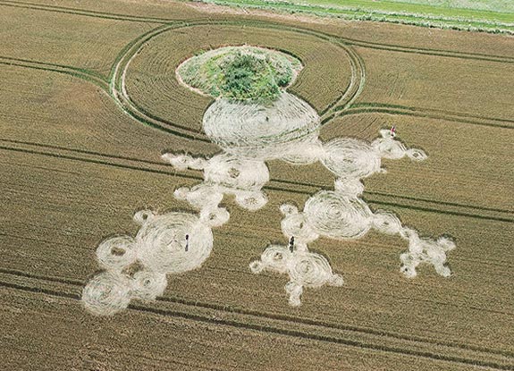 crop circle at Hinton Down | July 16 2007