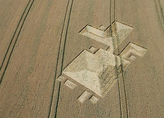 crop circle at White's Hill | July 18 2007