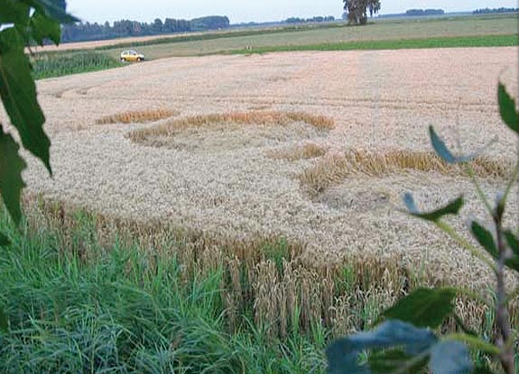 crop circle at Zevenberg | July 19 2007