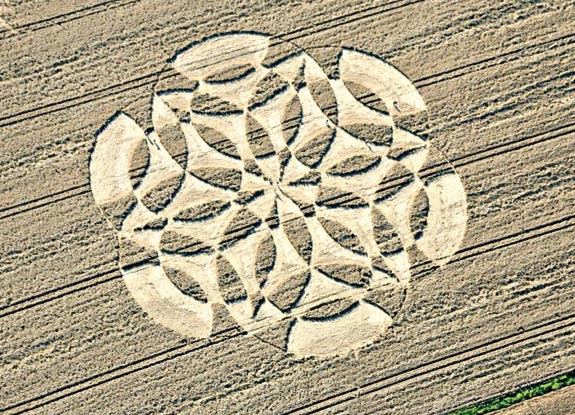 crop circle at Clifford's Hill | July 19 2007